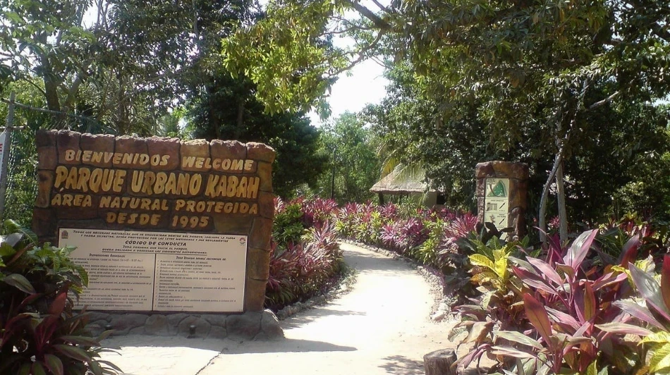 10 Free Things to Do in Cancun  