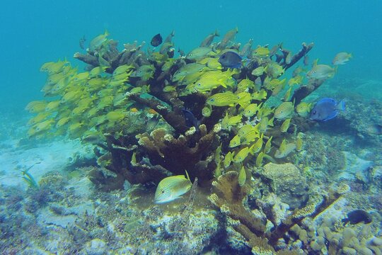 Tour image 13