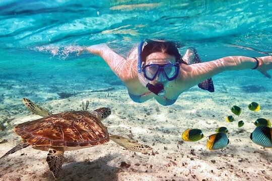 Tour image 8