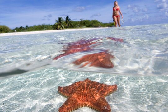 Tour image 1